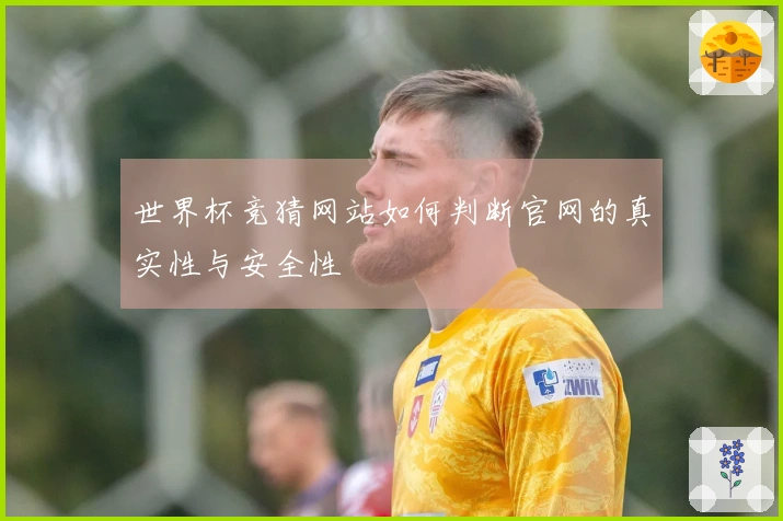 世界杯竞猜网站如何判断官网的真实性与安全性